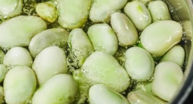 Uzmanından Parkinson için 'bakla' uyarısı