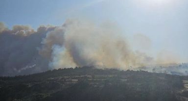 Çanakkale Gelibolu'da orman yangını!