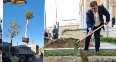 Cemil Tugay'ın diktiği ağaç Valilik tarafından söküldü