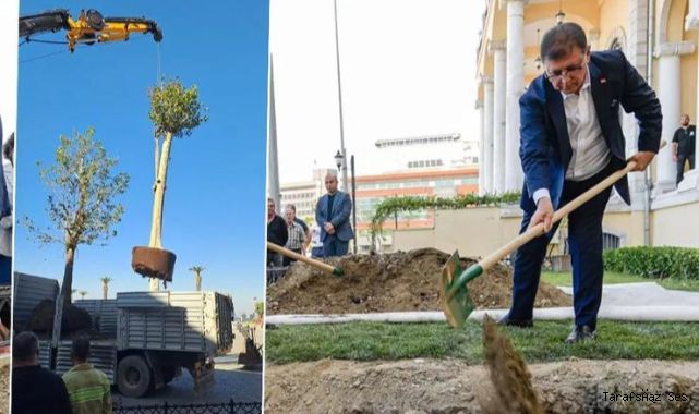 Cemil Tugay'ın diktiği ağaç Valilik tarafından söküldü