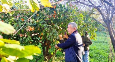 Çiftçinin dalında kalan malı belediye öğrencilere dağıttı