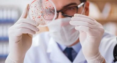 30 yıl sonra yeniden hortladı, Avrupa alarma geçti: Veba laboratuardan mı yayıldı?