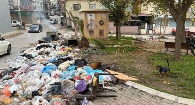 Buca'da çöp isyanı devam ediyor! vatandaşları çileden çıkaran görüntüler...