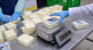 Büyükşehir’den peynir hamlesi