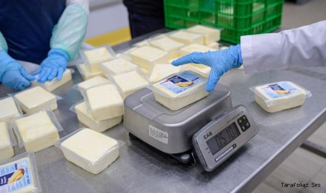 Büyükşehir’den peynir hamlesi