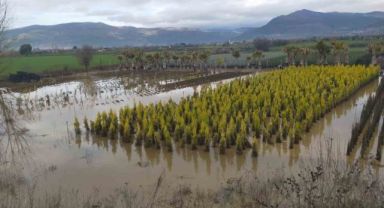 Sağanak yağış Ödemiş’te zarara neden oldu